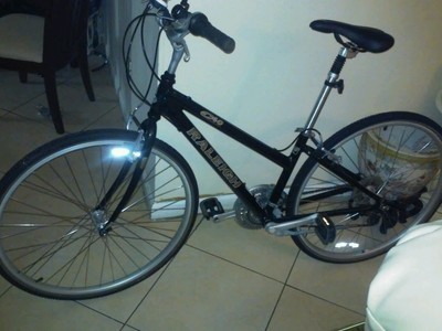 C 30 1995 Raleigh C40