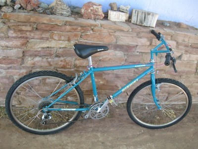nishiki kids bike