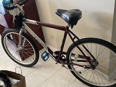 caloi beach cruiser bike