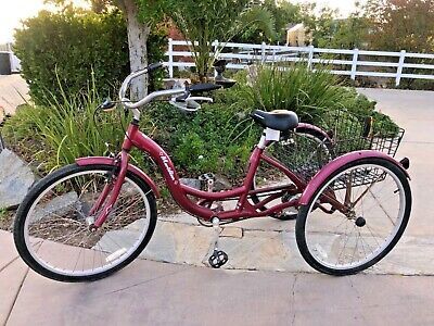 s4002 schwinn