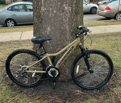diamondback octane complete youth bike