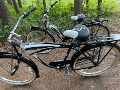2001 schwinn cruiser deluxe 7