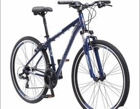 schwinn s10